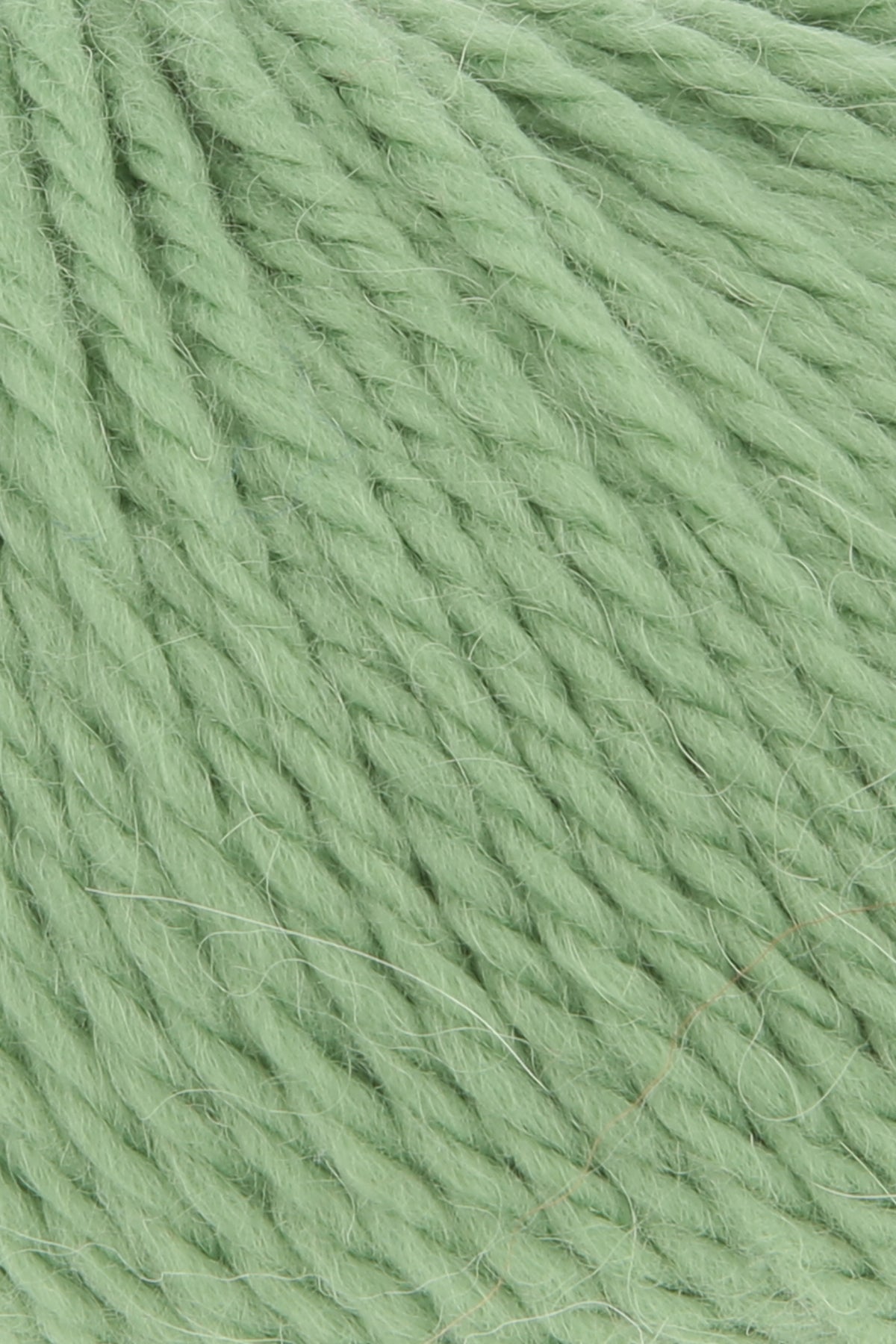 Lang Yarns Carpe Diem kleur 0019