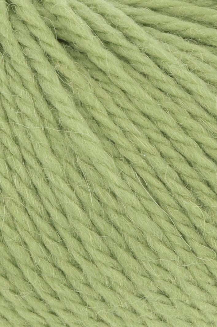 Lang Yarns Carpe Diem kleur 0259