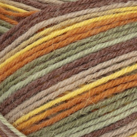Viola Raita 8391 Summer Day — garendetail