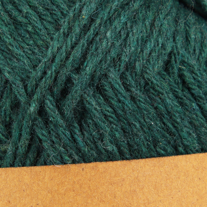 woolly Forest