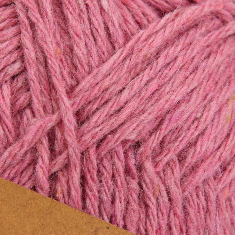 woolly Wilde Rose